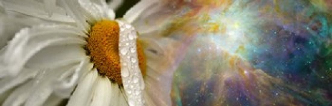 Daisy with Hubble cosmos Canvas Art - Panoramic Images (36 x 12)