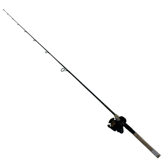 Daiwa BG Saltwater Spinning Fishing Rod and Reel Combo - 2500/701MML