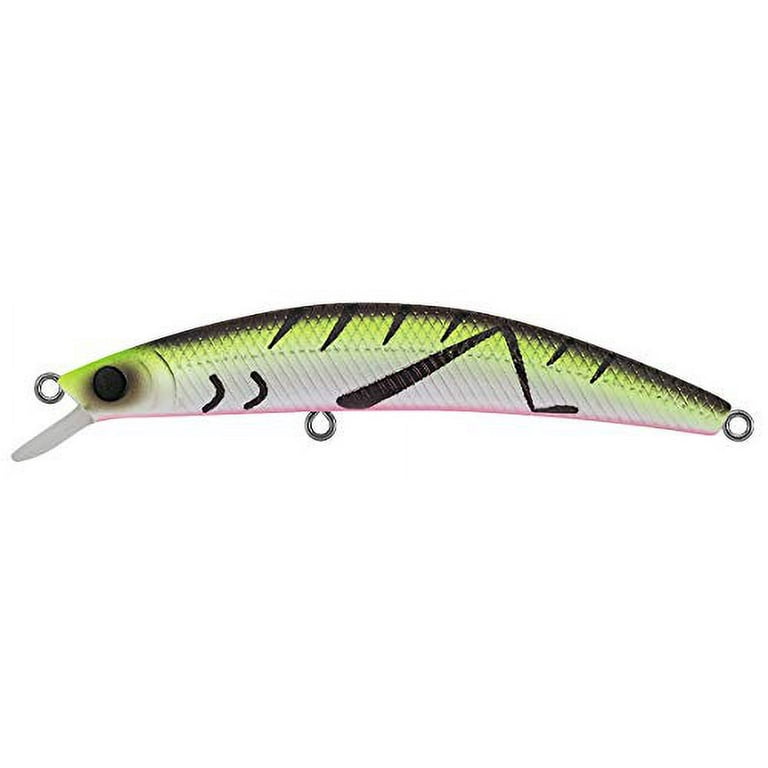  Daiwa Dr. Minnow Jerkbaits Batta, 2 3/4, 1/7 oz - DRM7F76 :  Sports & Outdoors