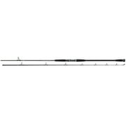 Daiwa Emcast EMCST1002MFS Surf Fishing Rod