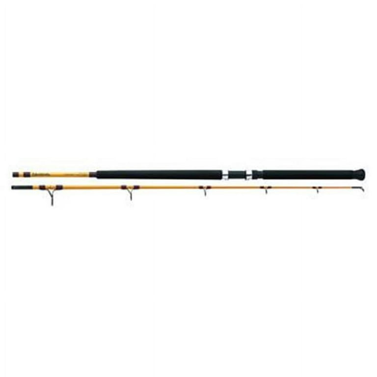 Daiwa Medium Action Fishing FT Surf Spinning Rod - 2 Piece