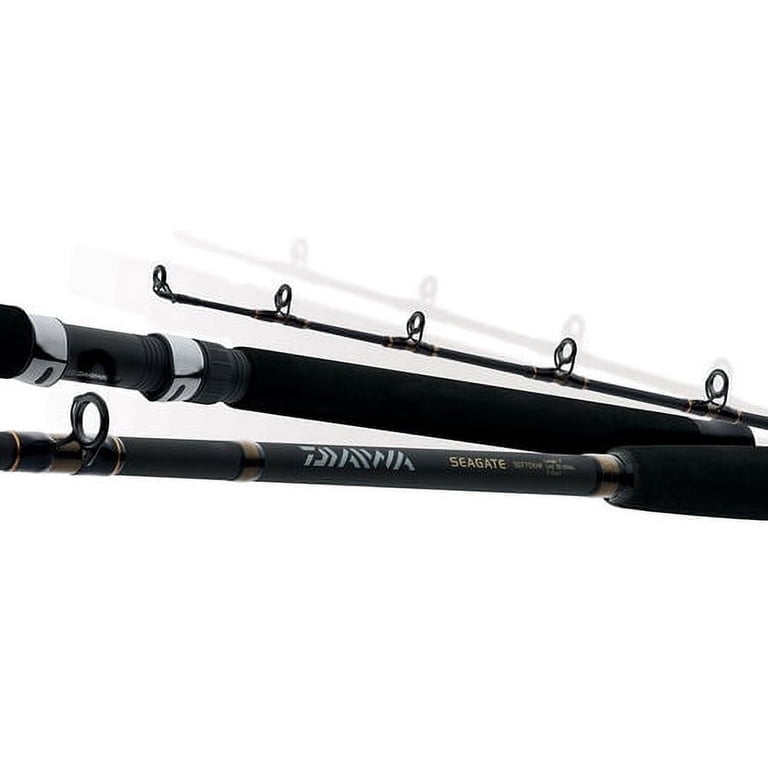 daiwa boat fishing rods Rod Leading Nerai MH-230/W hooksetting strength DAIWA Leobritz Deepdrop 200 600