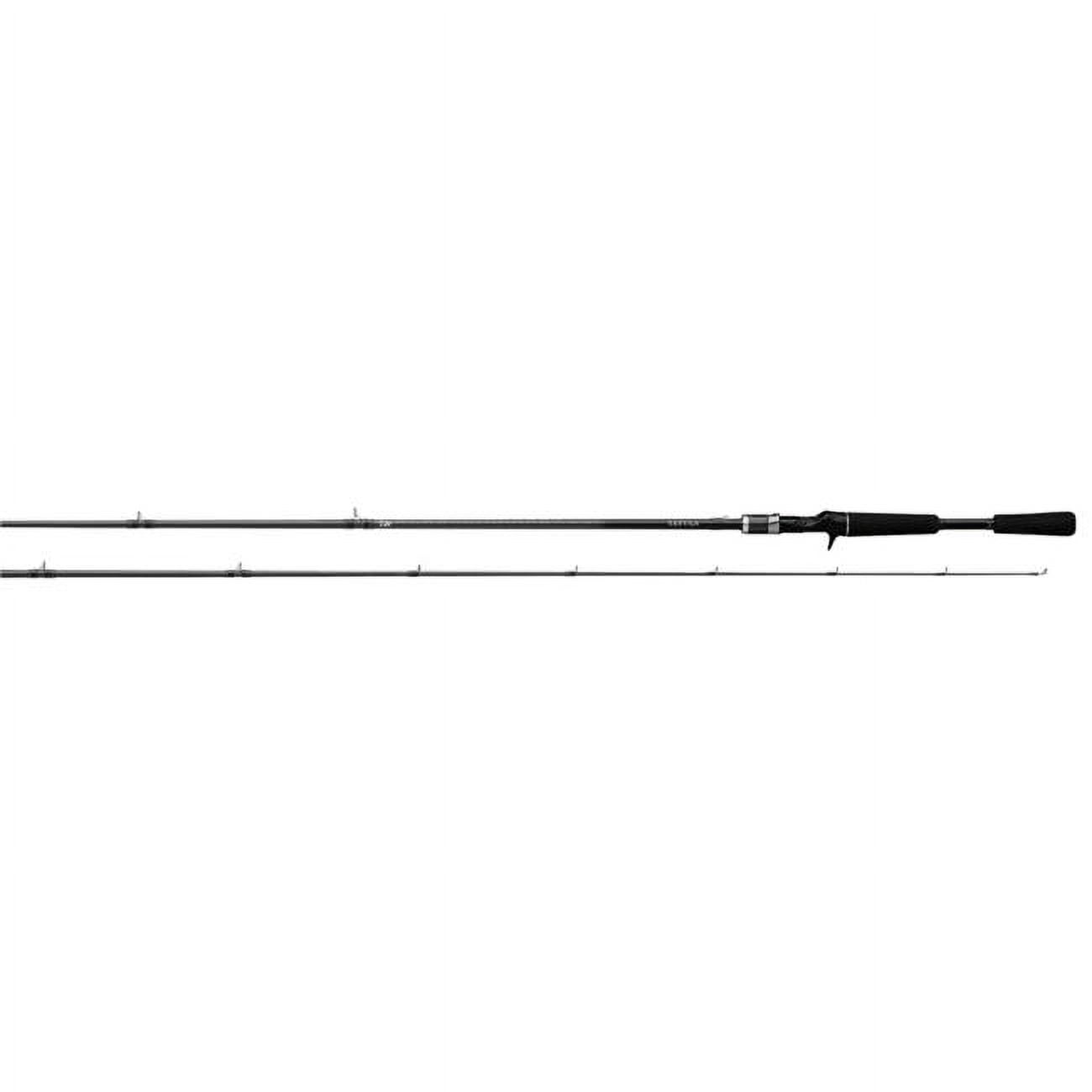  Daiwa Kage Ultralight Rod - Mini JIG/Spoon Spinning : Sports &  Outdoors