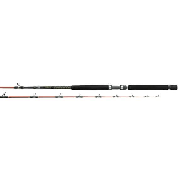 Daiwa V.I.P. A Saltwater Rod (DAIWVIPA56XH)
