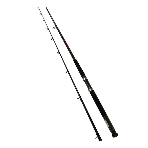 Daiwa Wilderness Spec Rod 2 Pieces Line Wt 12-30 WDDR802MHR