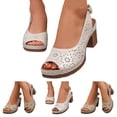 thumbnail image 1 of Dakaela Heeled Sandals for Women 2026 Open Toe Hollow out Slingback Mules Comfortable Dressy Summer Walking Pumps Shoes Size 6.5, 1 of 8