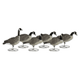 thumbnail image 1 of Dakota Decoy Signature Series Full Body Fully Flocked Upright Canada Goose Decoy 6PK with Bags, 1 of 2