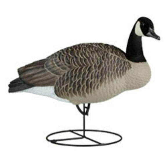 Dakota Decoy Signature Series Full Body Upright Canada Goose Decoy 6PK