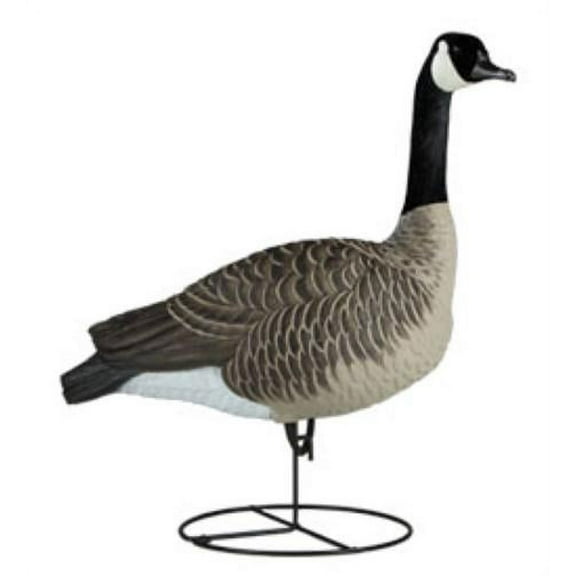 Dakota Decoy Signature Series Full Body Sentry Canada Goose Decoy 6PK