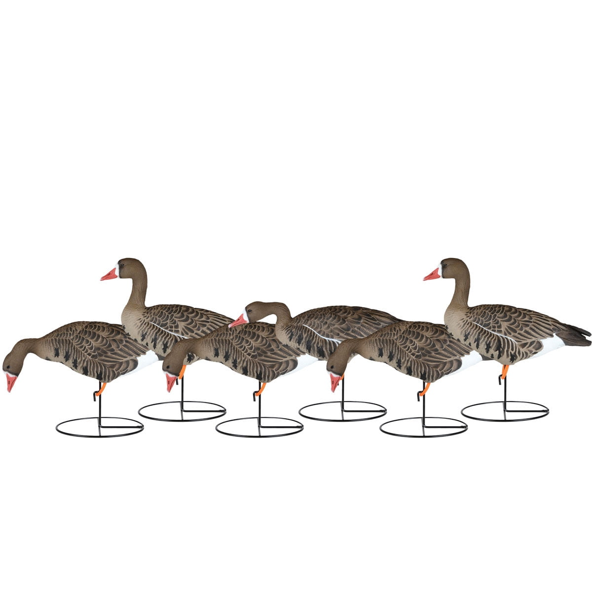 Dakota Decoy Full Body Fully Flocked Specklebelly Decoys 6Pack