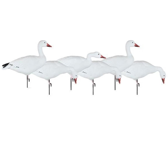 Dakota Decoy X-Treme Full Body Snow Goose Decoy 6PK