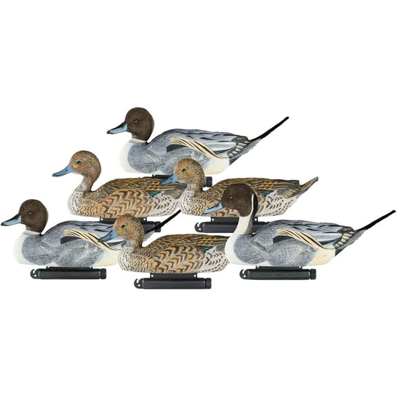 Dakota Decoy X-Treme Pintail Duck Decoy 6PK
