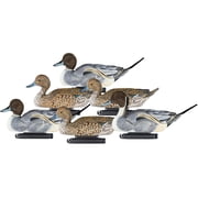 Dakota Decoy X-Treme Pintail Duck Decoy 6PK