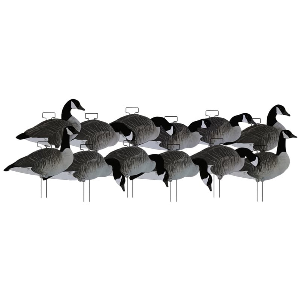 Dakota Decoys 12 Pack Silhouette Canada Goose Flocked Heads And Tails