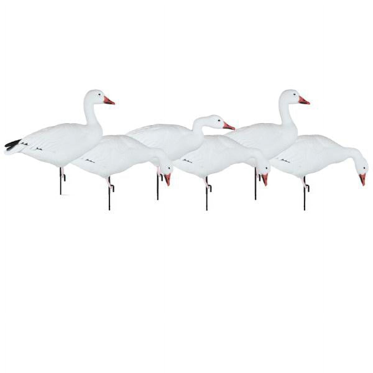 Dakota Decoys Migration Series Snow Goose Decoys, Mixed 6 Pack
