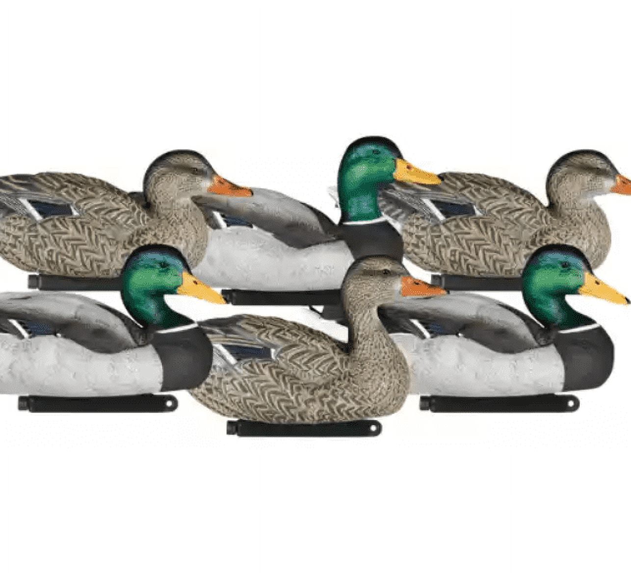 Dakota Decoys Xtreme Packable Mallard Duck Decoys Painted Heads 6PK