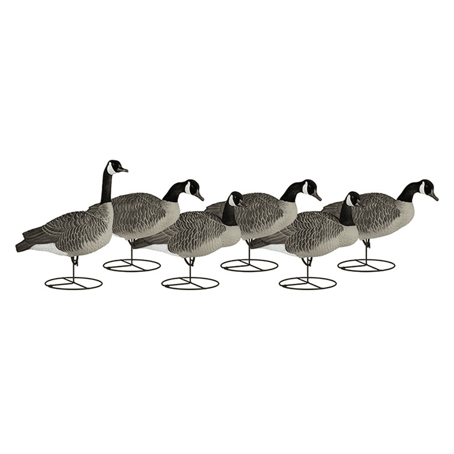 Dakota Decoys Signature Series Fully Flocked Upright Canada Geese