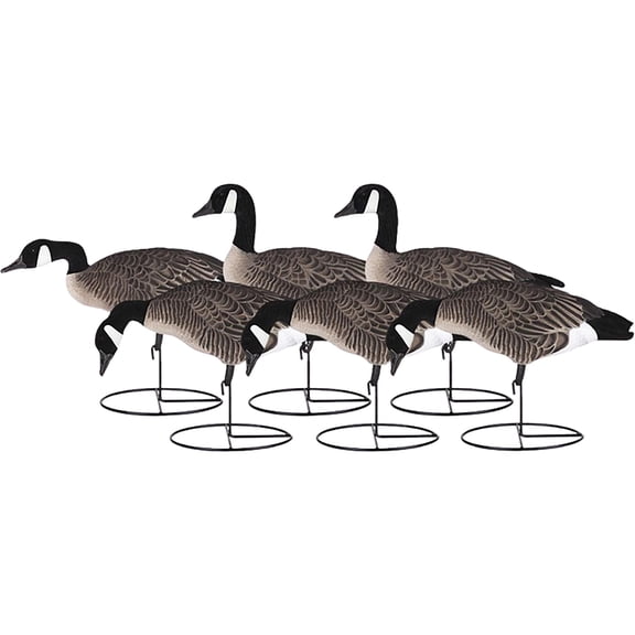 Dakota Decoys X-treme Fully Flocked Lesser Canada Goose Decoys 6PK