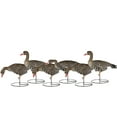 thumbnail image 1 of Dakota Decoys X-treme Fully Flocked Specklebelly Goose Decoys 6PK, 1 of 2