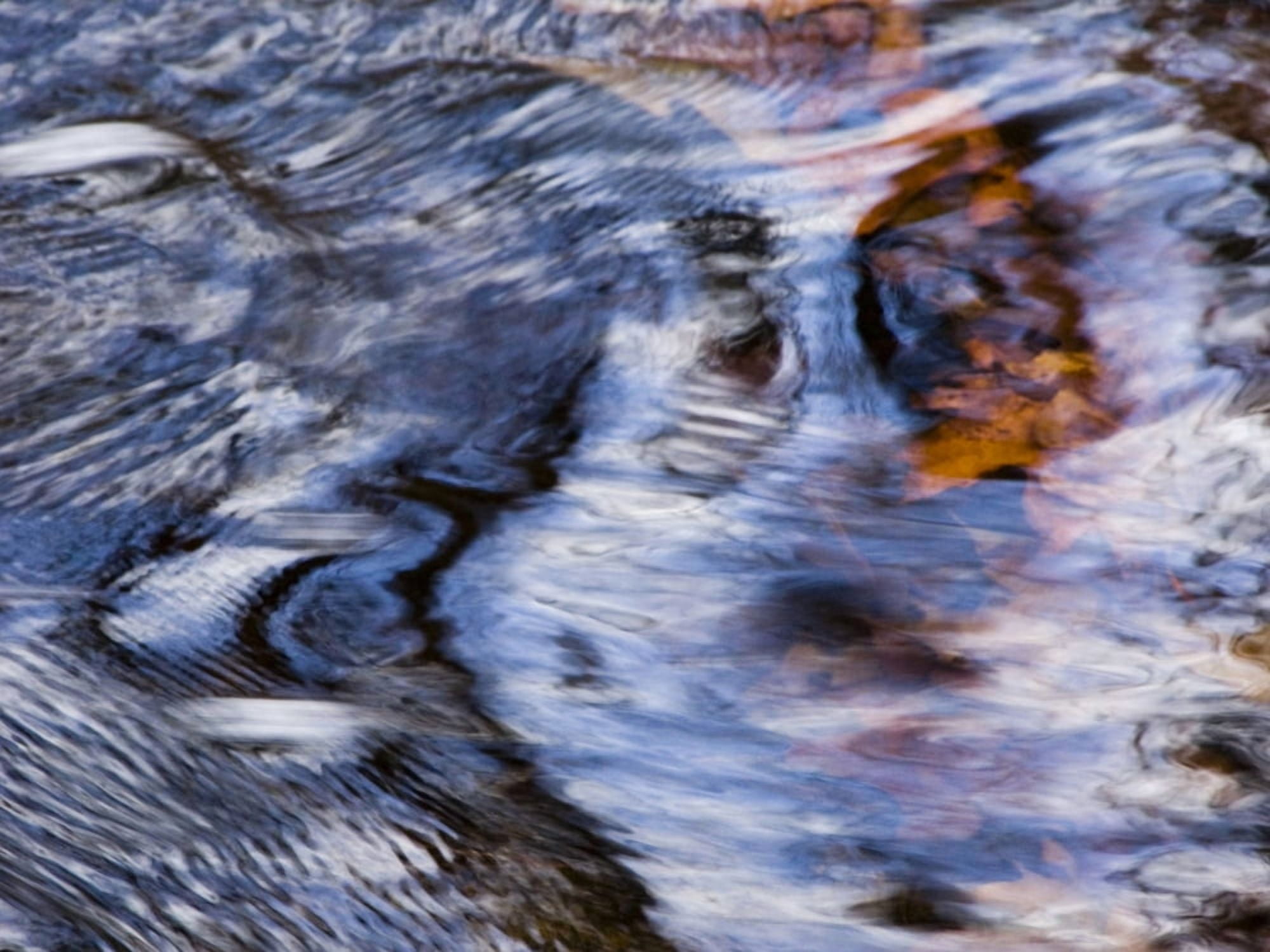 Dakota Rising Massachusetts Seekonk Caratunk Wildlife Refuge Water Patterns Reflections And Leaves Canvas Art - Joanne Baldaia Design Pics (32 x 24)