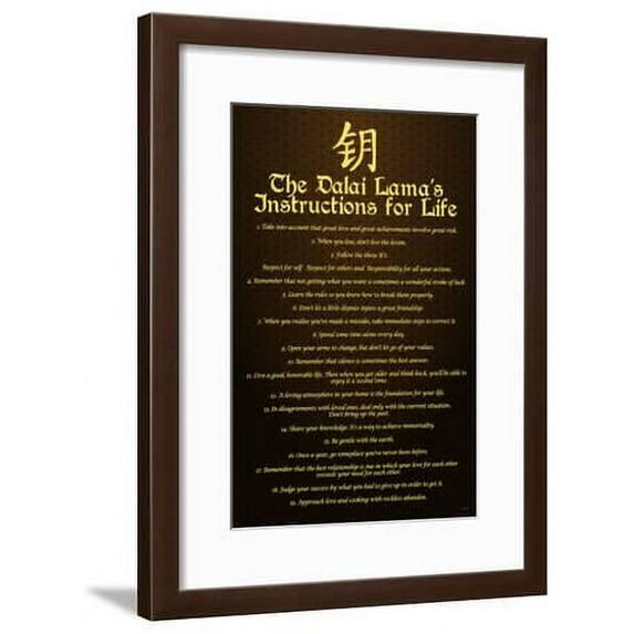 Dalai Lama, Instructions For Life, Religion World Culture Framed Art Print Wall Art Sold by Art.Com