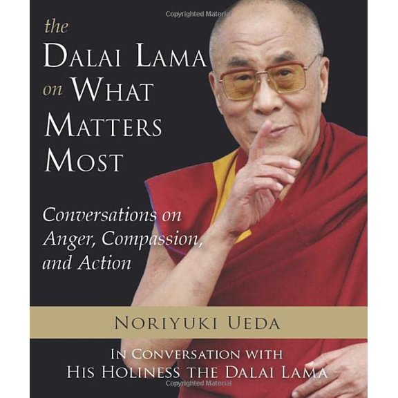 Pre-Owned Dalai Lama on What Matters Most: Conversations on Anger, Compassion, and Action, 9781571747013, 157174701X, Paperback,