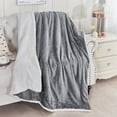thumbnail image 1 of Dalang Sherpa Fleece Bed Blanket Queen Size Super Soft Fuzzy Plush Warm Cozy Fluffy Microfiber Couch Throw Velvet Double Reversible Luxurious Blankets,27.5x39.4In(Grey), 1 of 6