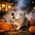 thumbnail image 1 of Dalang Yellow Halloween Pet Toy, Simulated Spider Wand Refill Attachment for Interactive Cat Play (Rod Not Included), 1 of 6
