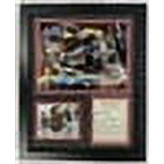 Dale Earnhardt Sr NASCAR Collectible