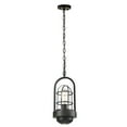 thumbnail image 1 of Dale Tiffany Lighting - Siskel - 6.6 Inch 6W 1 LED Mini Pendant with DownLight, 1 of 2