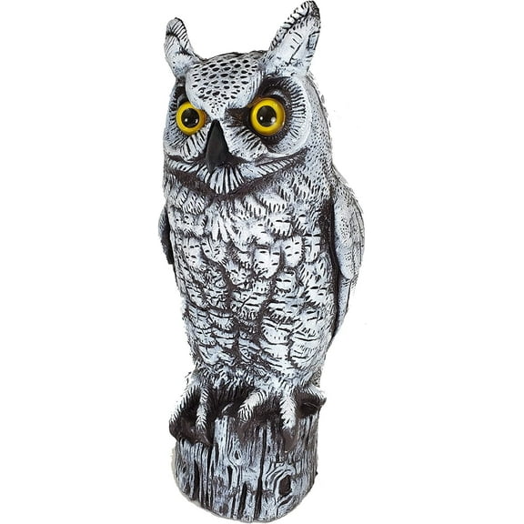 Dalen Fake Owl Decoy to Scare Birds Away from Gardens, Rooftops, and Patios - Scarecrow Provides Chemical-Free Pest Control - Safe and Humane, 16" Great Horned Owl - Snow White