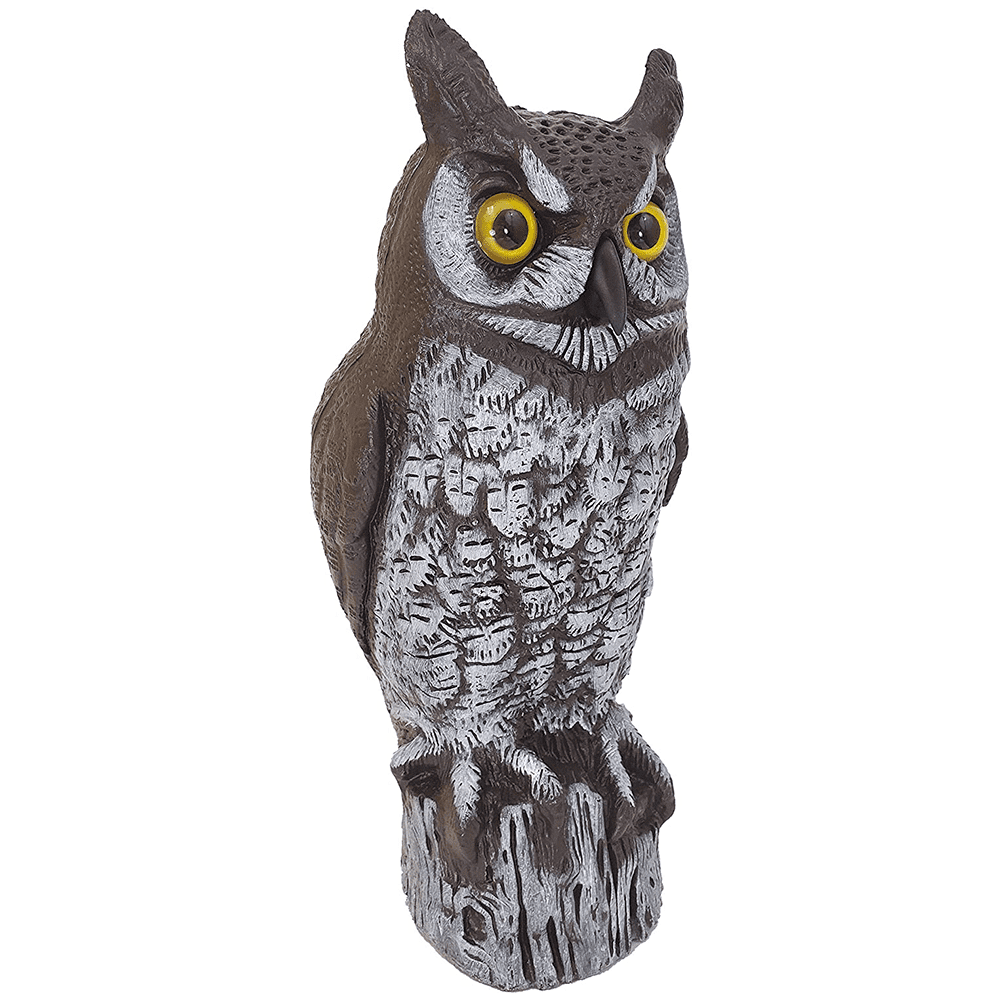 Dalen Fake Owl Decoy to Scare Birds Away from Gardens, Rooftops, and Patios - Scarecrow Provides Chemical-Free Pest Control - Safe and Humane, 16" Great Horned Owl