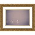 thumbnail image 1 of Dalheim, Jonas 14x11 Gold Ornate Wood Framed with Double Matting Museum Art Print Titled - Foggy Takeoff, 1 of 4