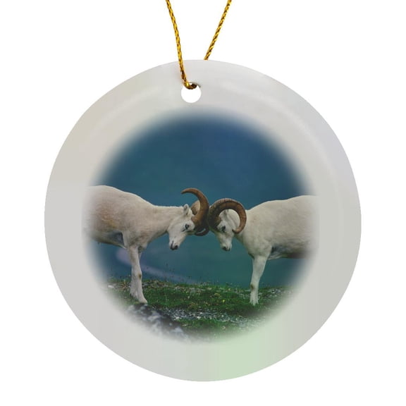 3drose, Dall Rams, Jousting on Ridge, Denali National Park, Alaska, Circle Porcelain Ornament