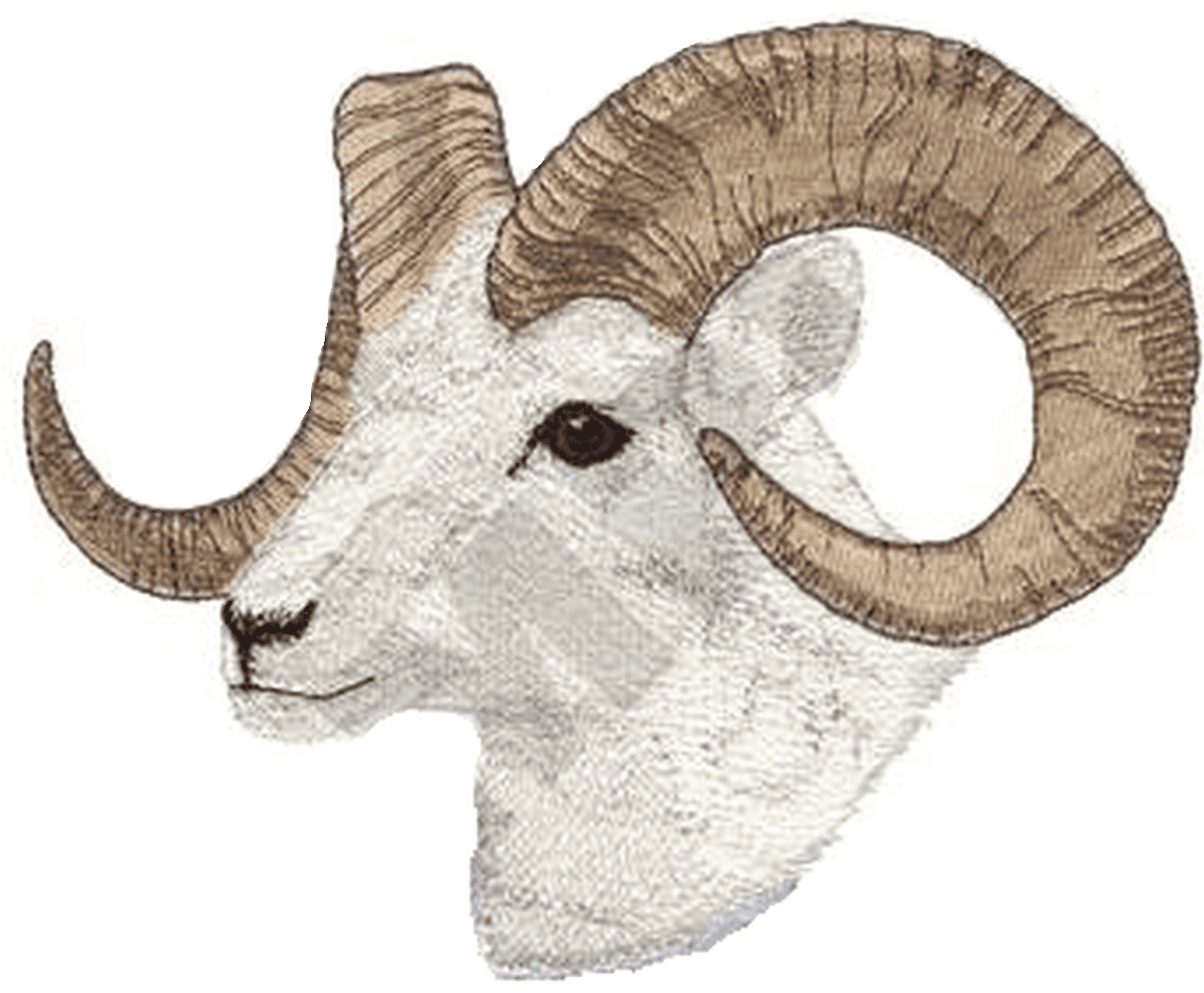 Dall Sheep Head Embroidered Patch Approx Size 7.9" x 6" FREE USA SHIPPING