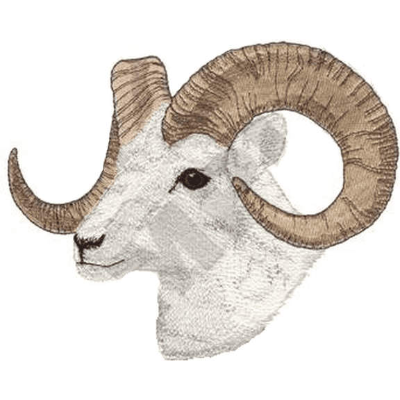 Dall Sheep Head Embroidered Patch Approx Size 7.9" x 6" FREE USA SHIPPING