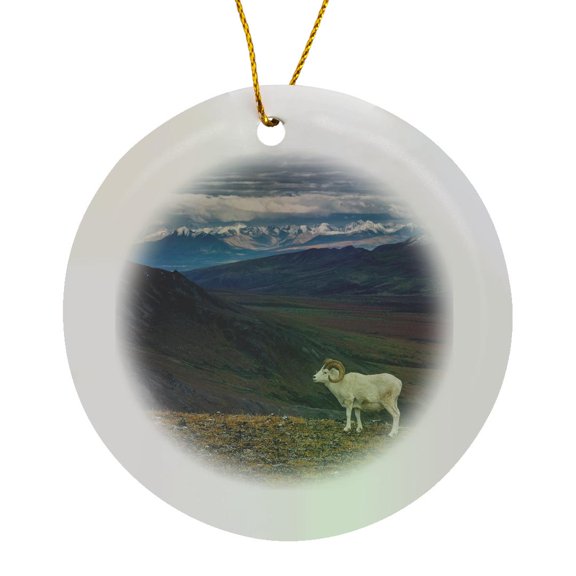3drose, Dall Sheep on Ridge, Fall Tundra, Denali National Park, Alaska, Usa., Circle Porcelain Ornament