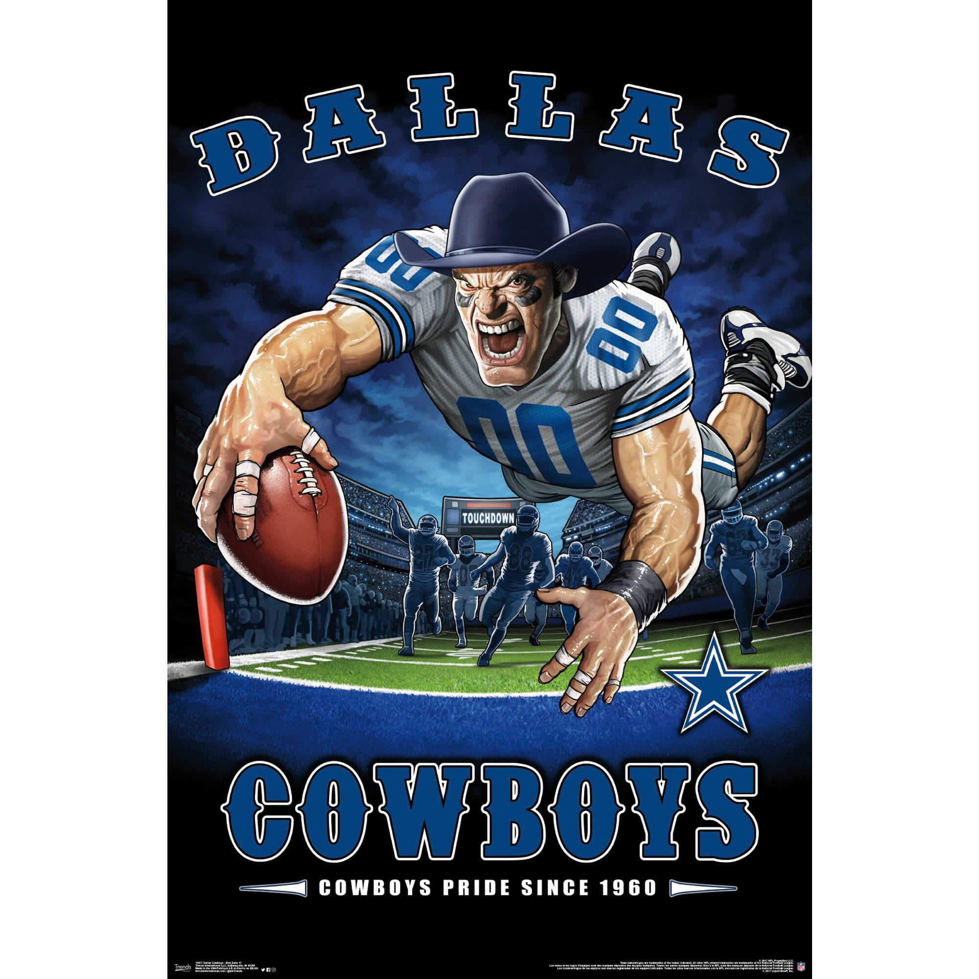 Dallas Cowboys Liquid Blue Designs 22'' x 34'' End Zone Poster