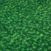 Dallas Cowboys Mat Putting Green Special Order