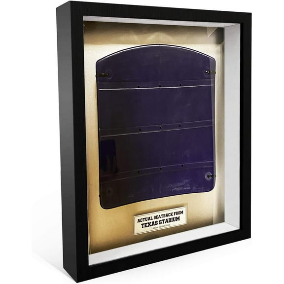 Dallas Football Texas Stadium Seatback Shadow Box 22x26 with Letter Limited Edition