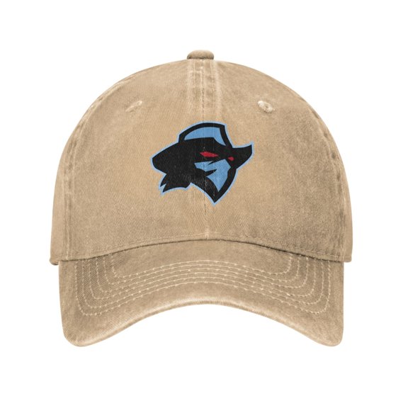 Dallas Renegades Hat Washed Cotton Baseball Cap