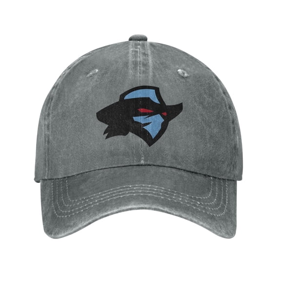 Dallas Renegades Hat Washed Cotton Baseball Cap