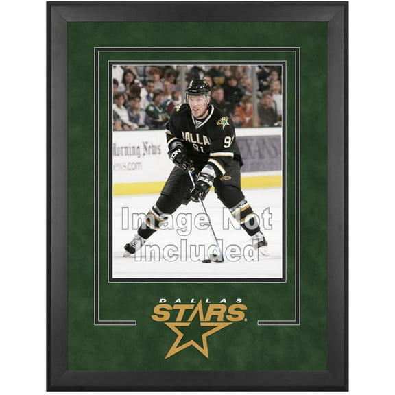 Dallas Stars Deluxe 16" x 20" Vertical Photograph Frame