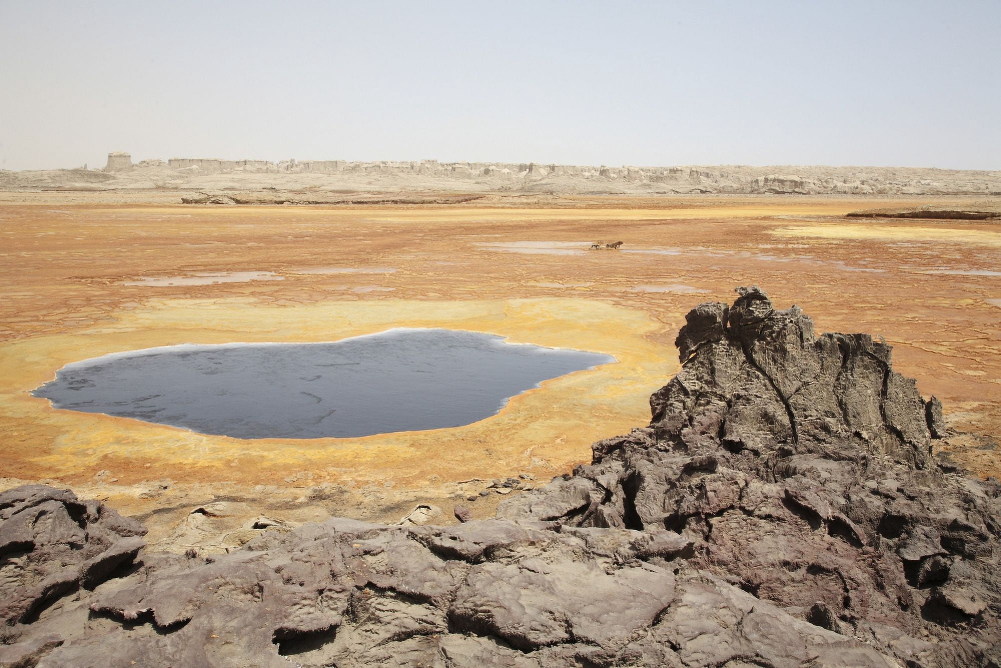 Dallol geothermal area 1926 explosion crater by Black Mountain Danakil Depression Ethiopia Canvas Art - Richard RoscoeStocktrek Images (35 x 23)