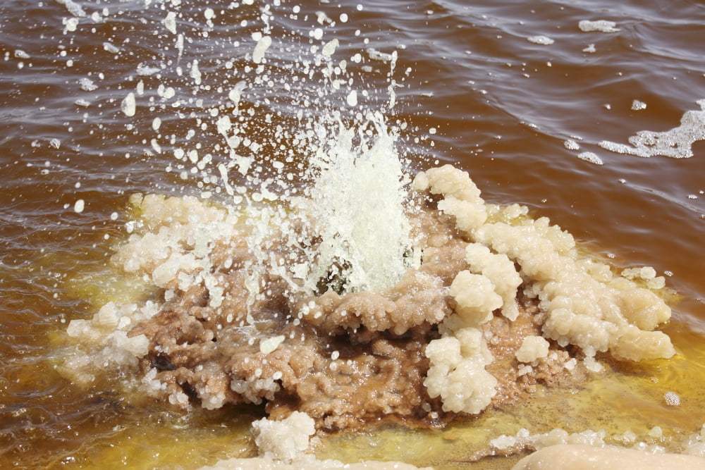 Dallol geothermal area small geyser in brine hot springs Danakil Depression Ethiopia Canvas Art - Richard RoscoeStocktrek Images (35 x 23)