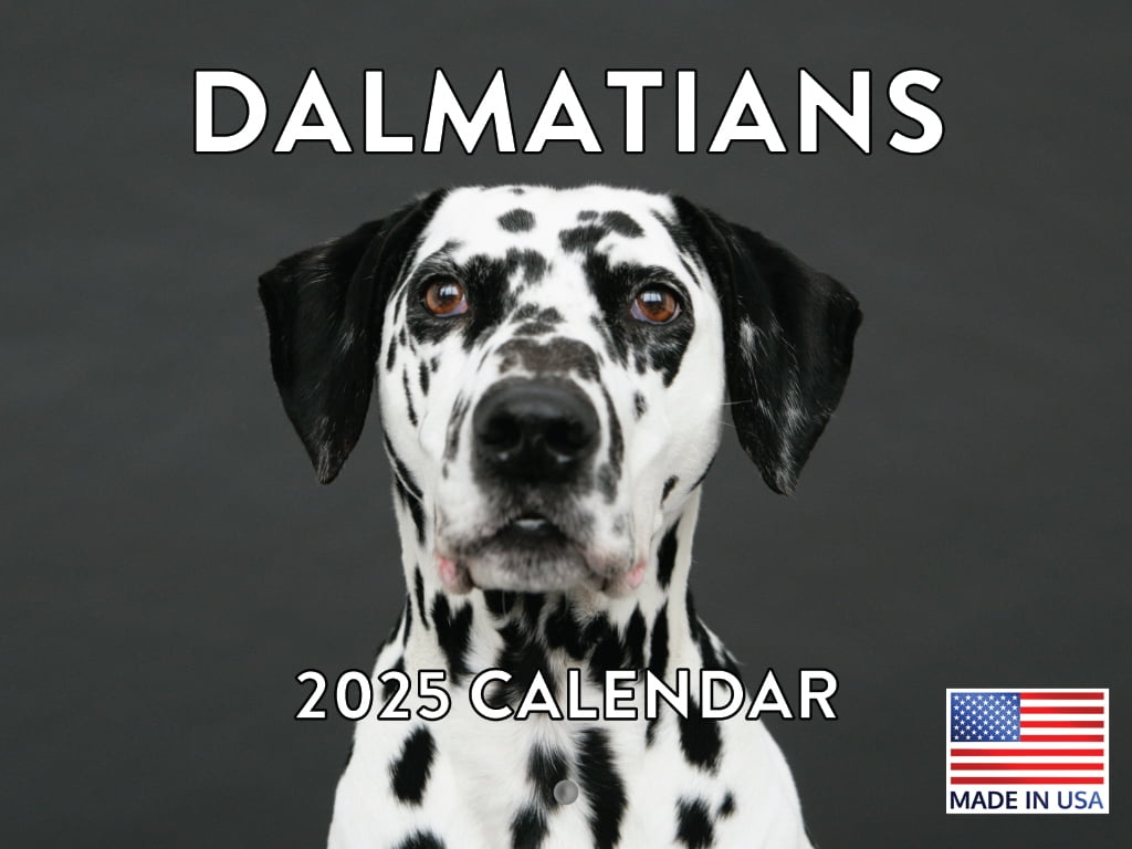 Dalmatian Calendar 2025 Wall Monthly American Made In The USA Dalmatian Calendar 2025 Wall Monthly Made In The USA 67288818 855f 44f0 9f98 D56ed5401b60.70e20f01864b702d8a1c801798ae4cb1