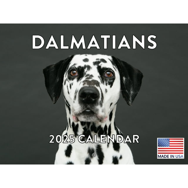 Dalmatian Calendar 2025 Wall Monthly Made In The USA