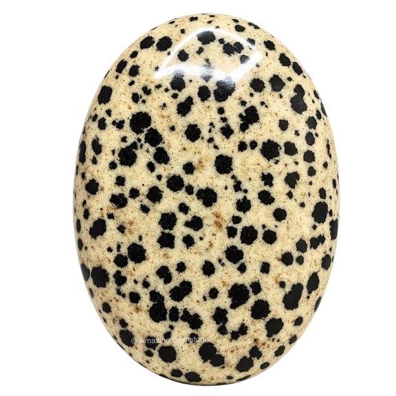 Dalmatian Jasper Crystal Palm Stone