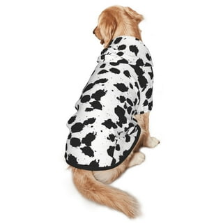Dalmatian Coat