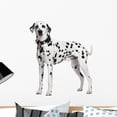 thumbnail image 1 of Dalmatian Standing Front White Wall Decal by Wallmonkeys Peel and Stick Graphic (24 in H x 21 in W) WM71210, 1 of 4